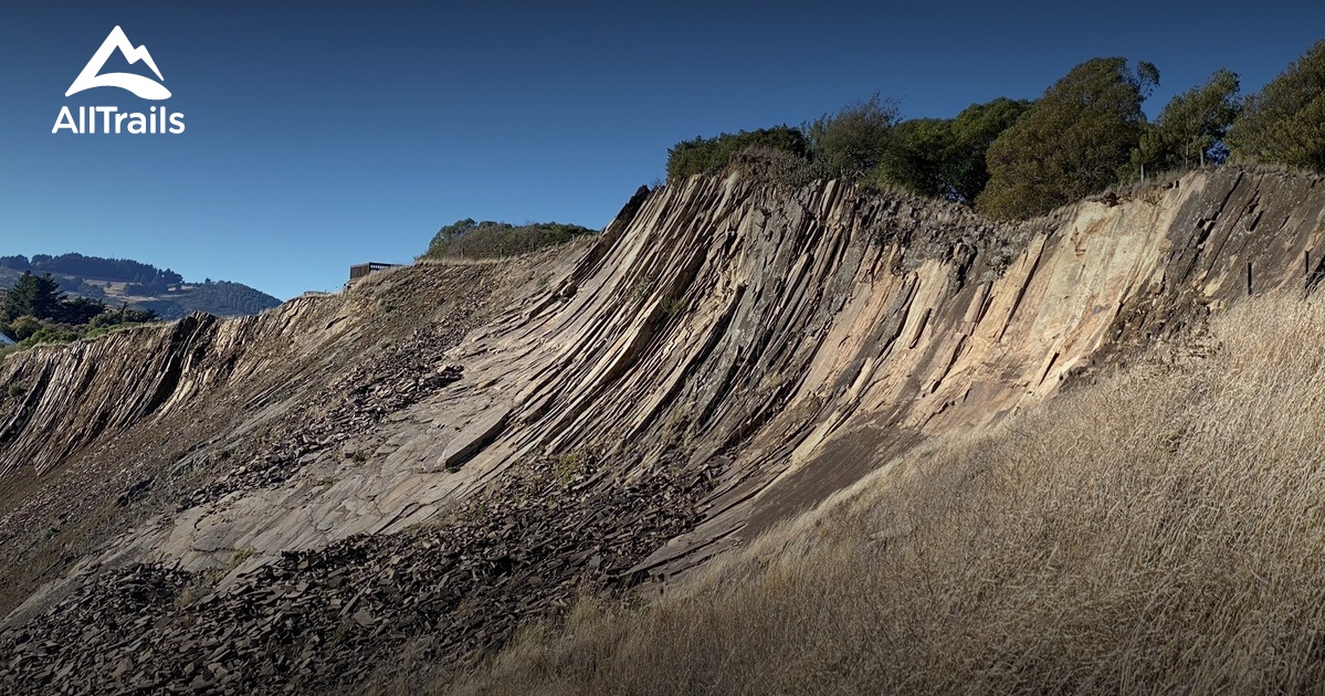 Best mountain biking trails in - Parks New Zealand Canterbury Halswell Quarry Park 10168390 20210704080611000000000 1200x630 3 41626153166 