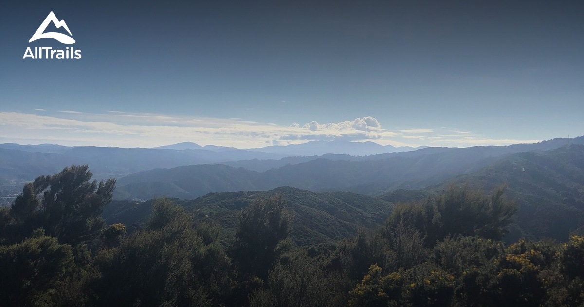 Best walking trails in Whitireia - Parks New Zealand Wellington Whitireia Park 10168403 20210708080948000000000 1200x630 3 41626695205 