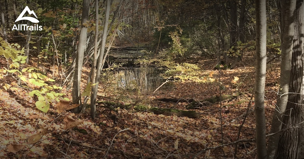 Best hikes and trails in Windham Town Forest AllTrails