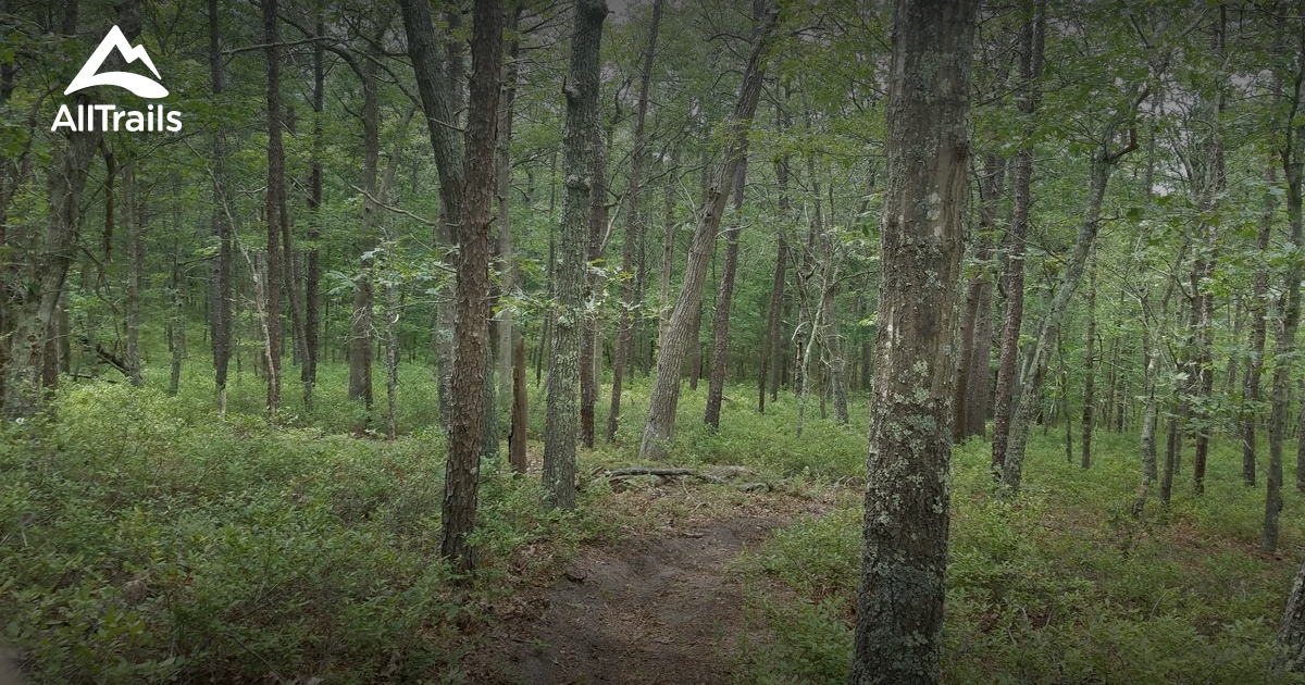 Best Trails in Long Island Pine Barrens New York AllTrails