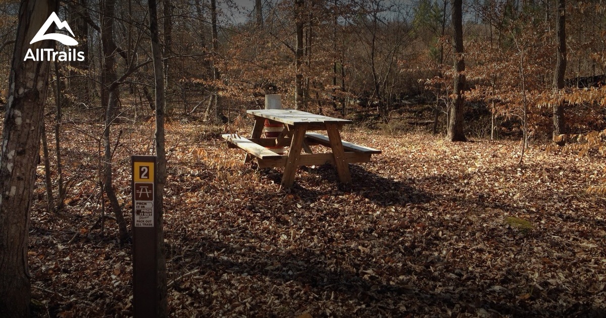 Best hikes and trails in Mineral Springs Greenway AllTrails
