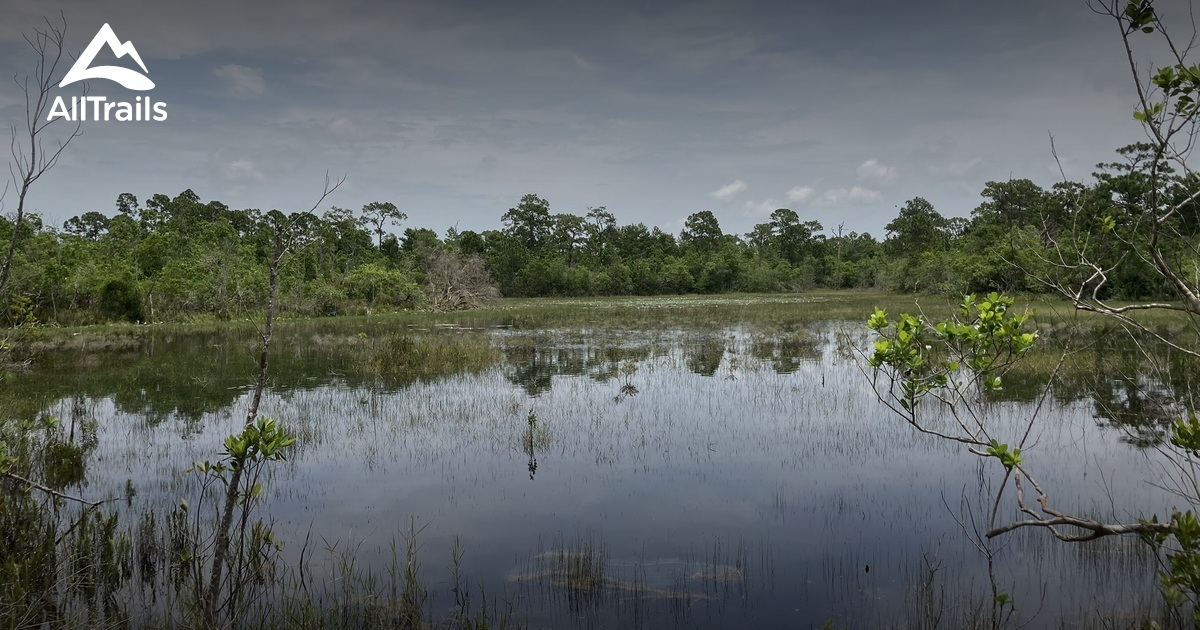 Best Hikes And Trails In Spruce Bluff Preserve | AllTrails