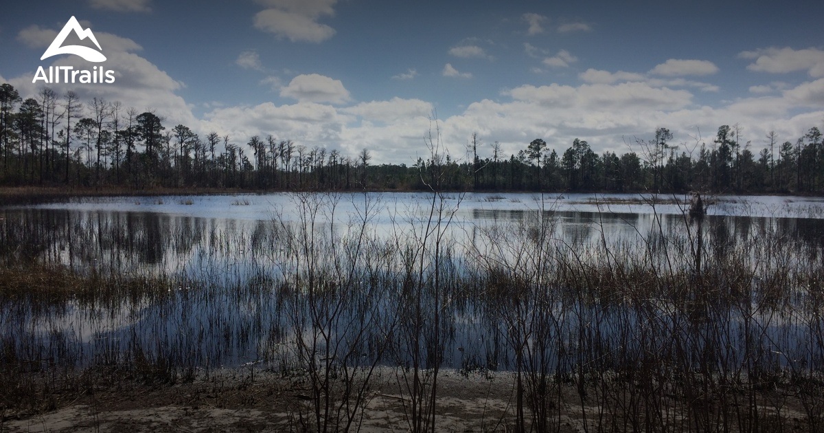 Best Hikes And Trails In Jay B. Starkey Wilderness Park | AllTrails