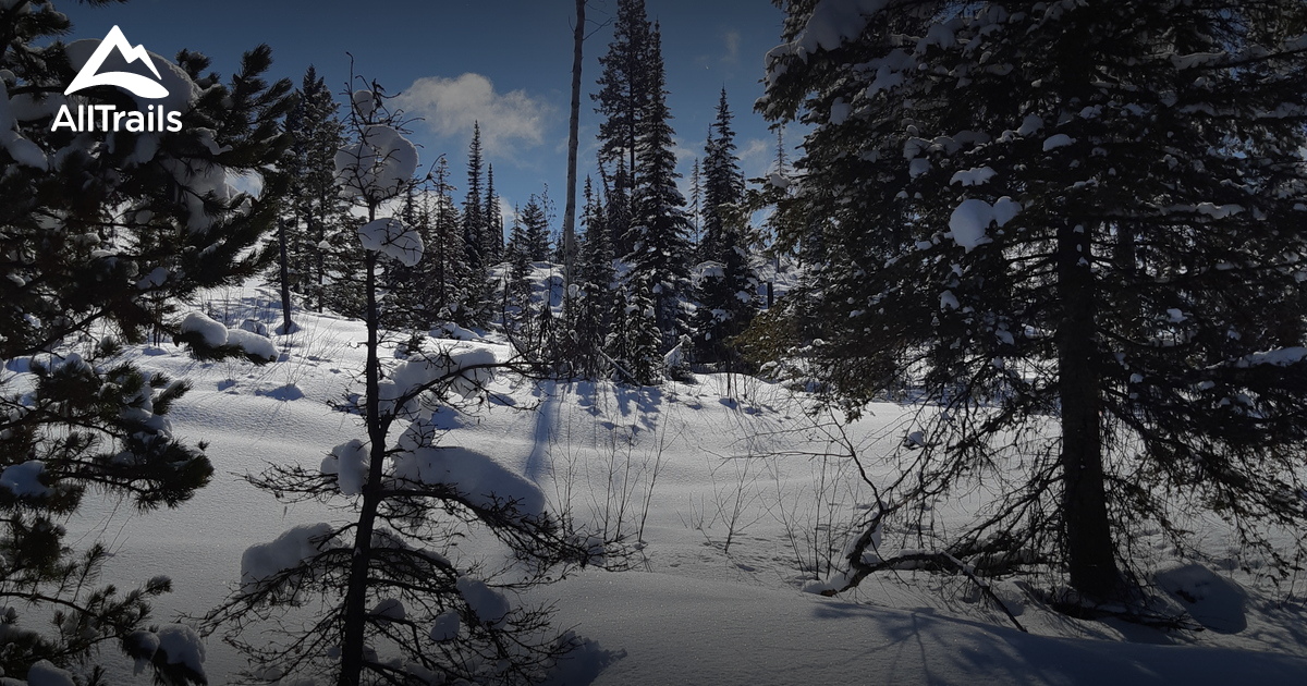 10 Best forest trails in McCulloch CrossCountry Ski Trails Recreation