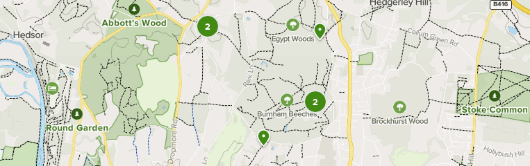 Best trails in Burnham Beeches | AllTrails
