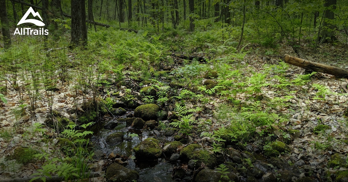 Best hikes and trails in Blackstrap Hill Preserve AllTrails