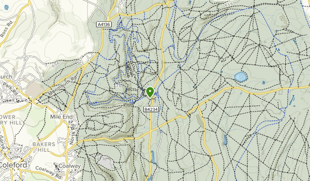 forest of dean bike trails map