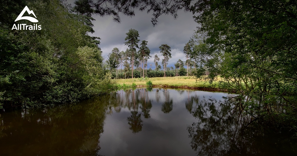 Bracknell Forest: De Beste Routes Om Te Wandelen | AllTrails