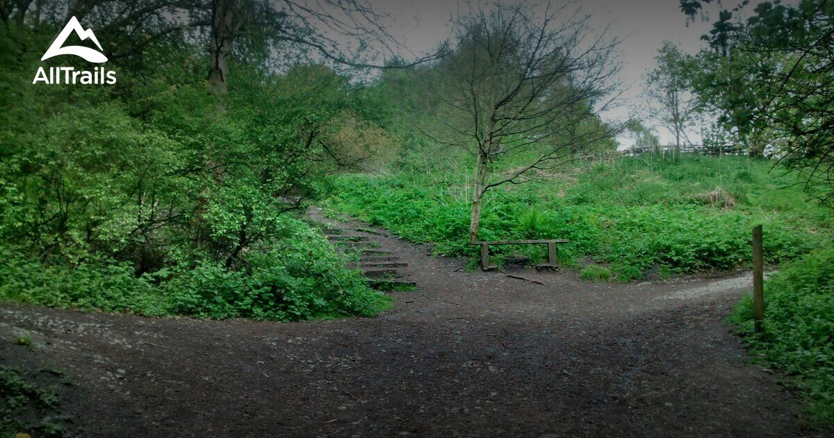 Best kid friendly trails in Baggeridge - Parks England West Midlands Baggeridge Country Park 10169599 20210416080749000000000 1200x630 3 41618585416 