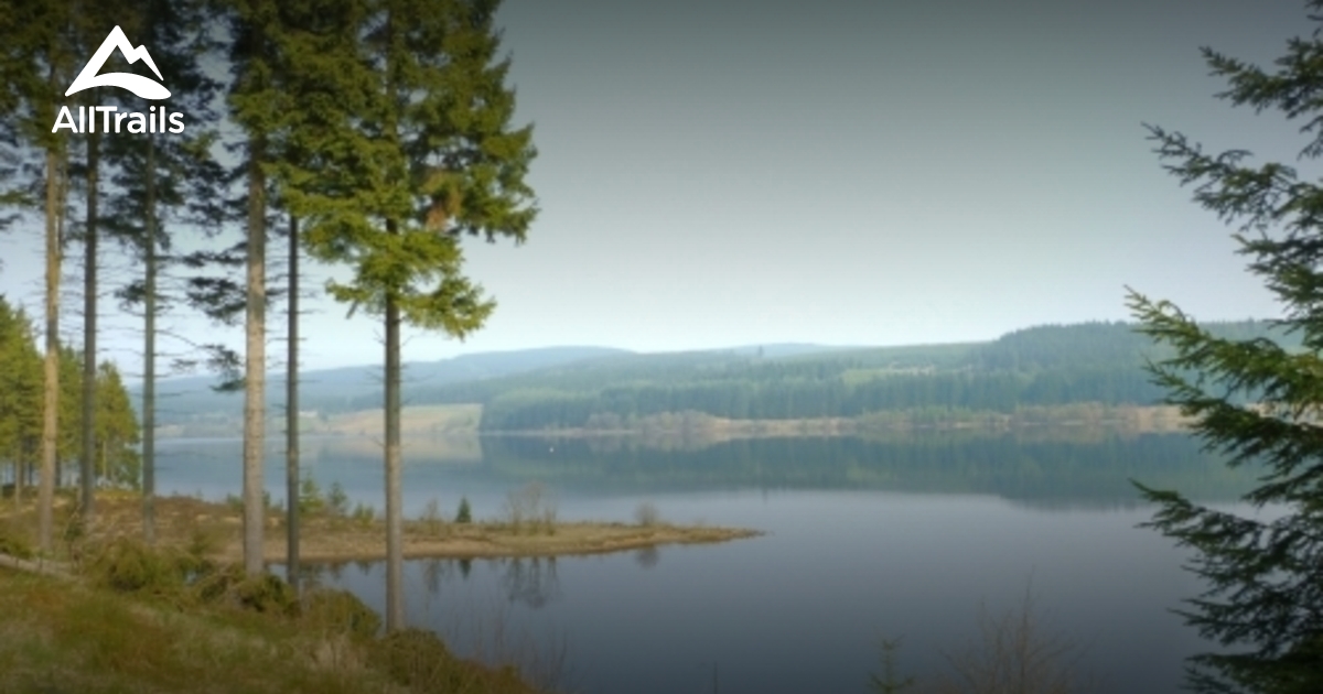 Best Trails in Kielder Forest Northumberland, England AllTrails