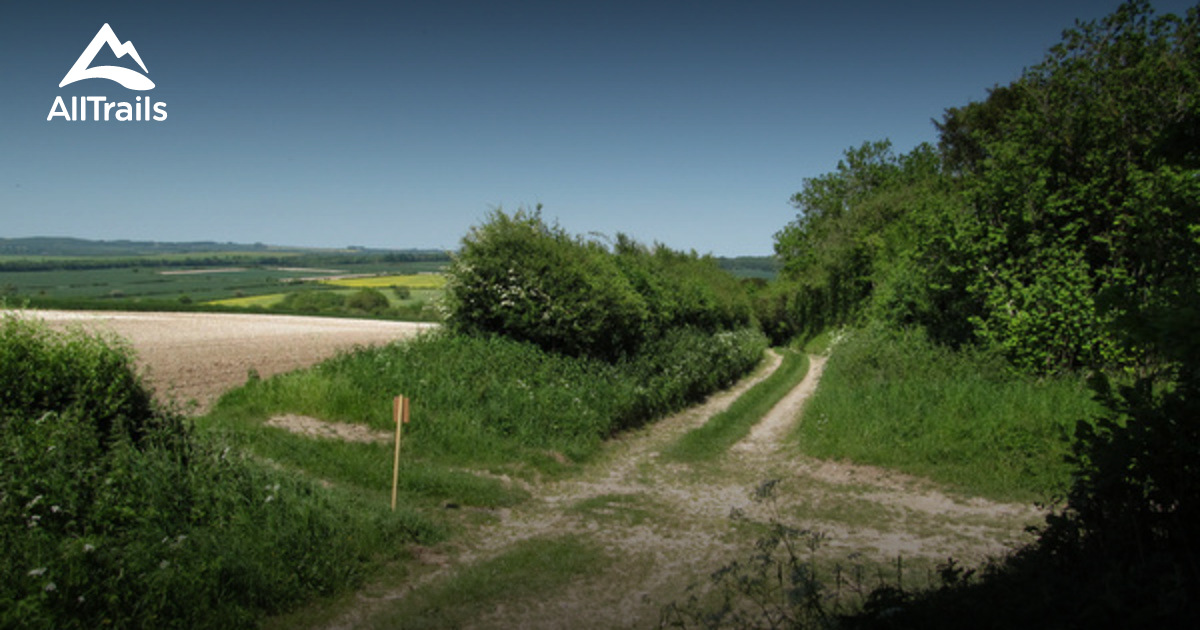 Best Trails In Cranborne Chase And West Wiltshire Downs Area Of Outstanding Natural Beauty