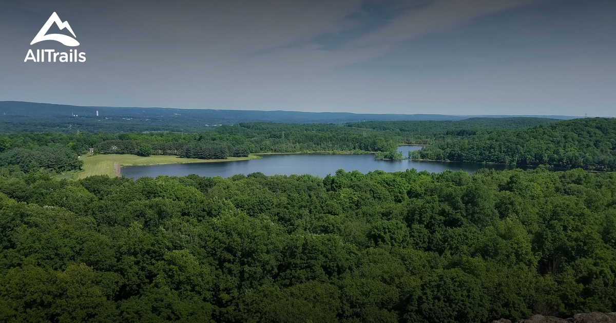 Best Trails in Ragged Mountain Memorial Preserve - Connecticut | AllTrails