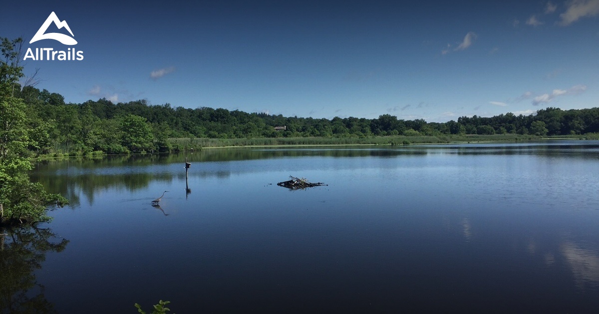 Best hikes and trails in The Celery Farm AllTrails