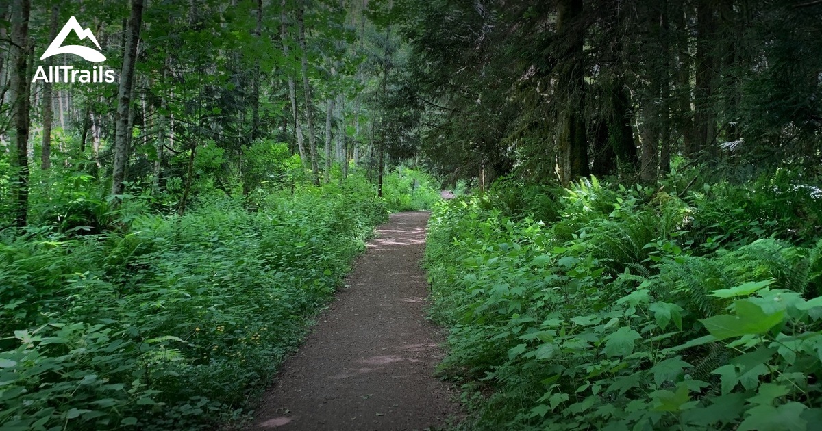 Best Trails in Port Gamble Forest Heritage Park ...