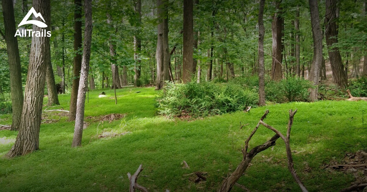 Tater Ridge Best hikes and trails in Taxter Ridge | AllTrails
