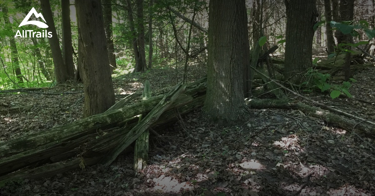 Best Trails in Cawthra Mulock Nature Reserve - Ontario, Canada | AllTrails