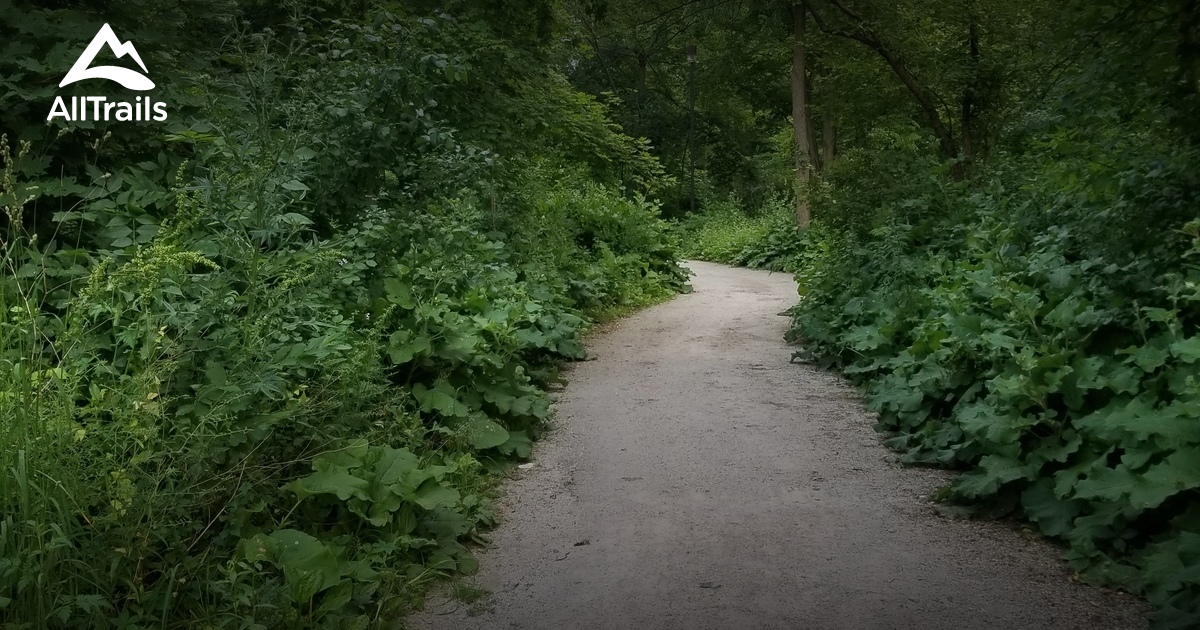 Best Trails in Mississauga Valley Park Ontario, Canada AllTrails