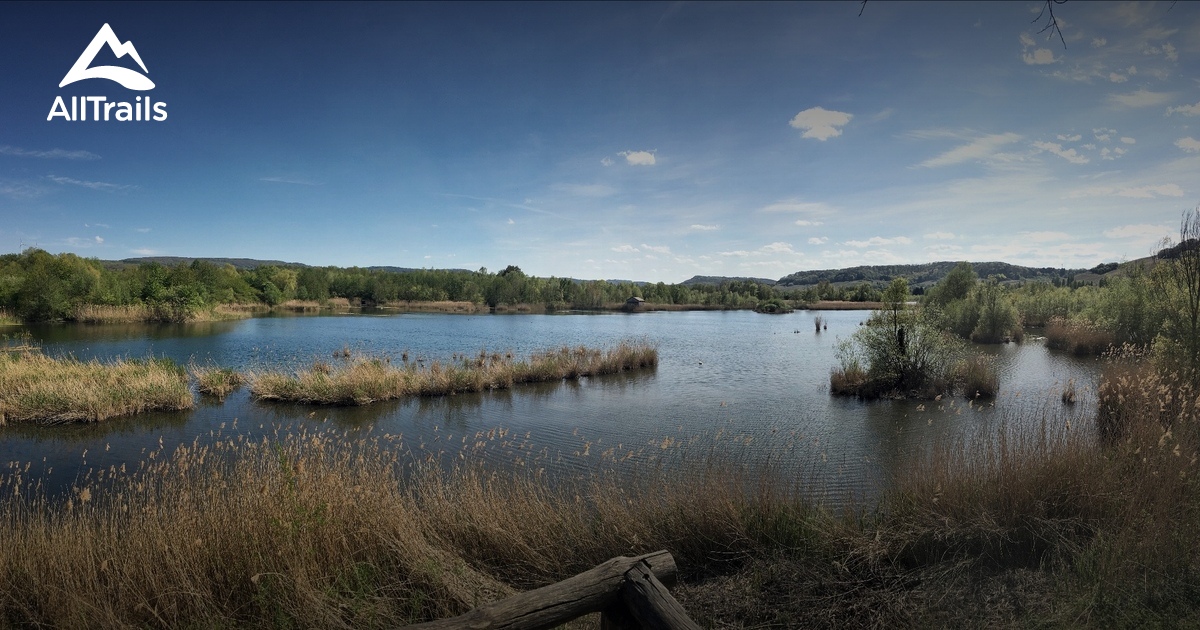 Baggerweier Haff Réimech: de beste routes om te wandelen | AllTrails