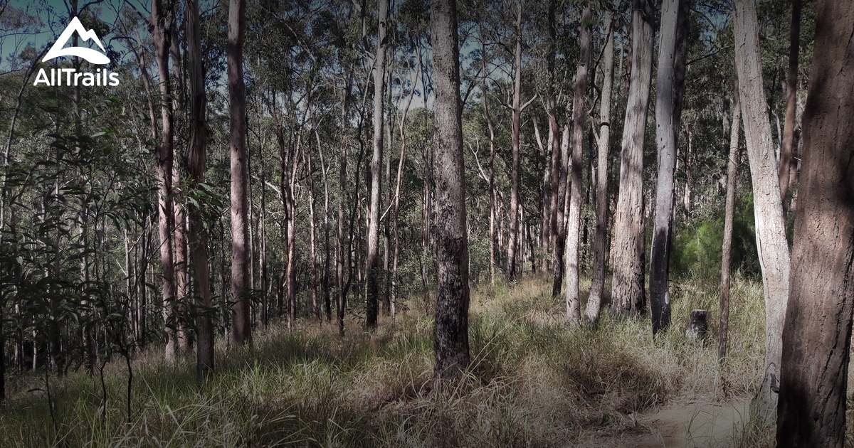 10 Best hikes and trails in Samford Conservation Park AllTrails