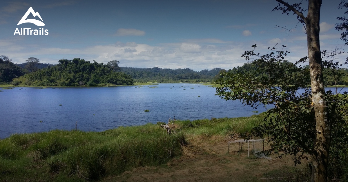 Best hikes and trails in Cát Tiên National Park | AllTrails