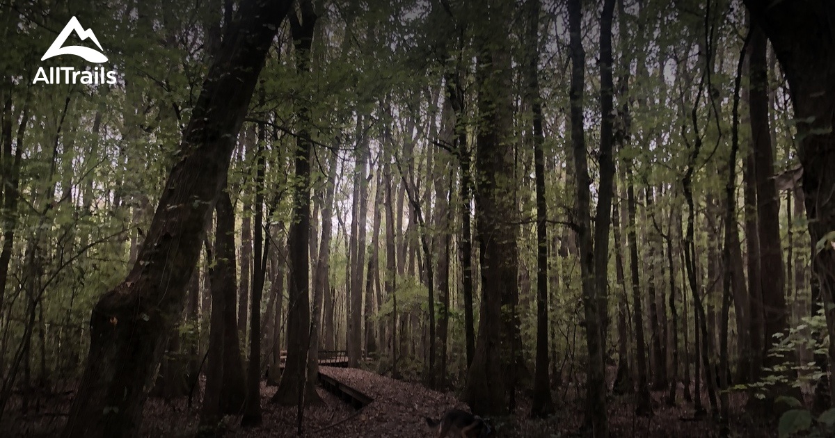 Best off road driving trails in - Parks Us Alabama Wheeler National Wildlife Refuge 10171170 20210119080315000000000 1200x630 3 41611074769 