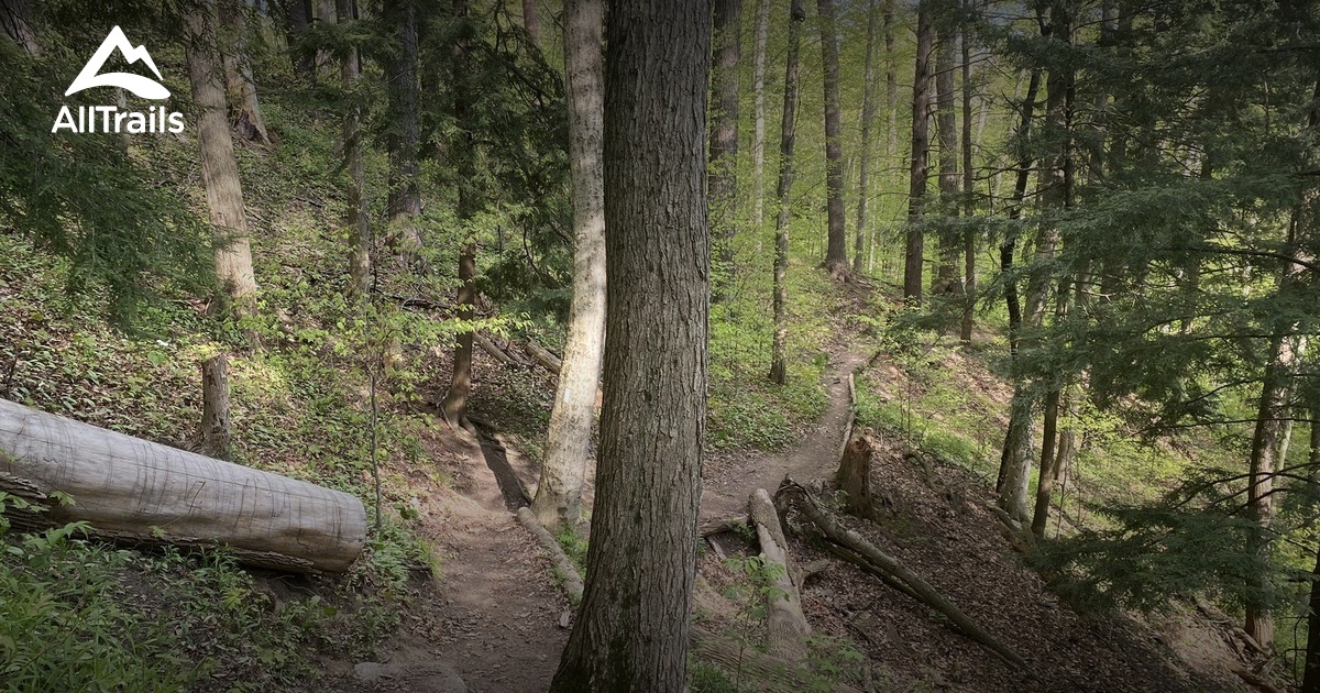 Best hikes and trails in Lowville Park AllTrails