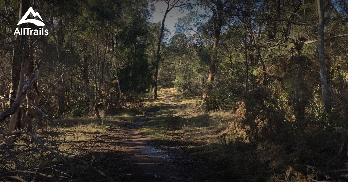 Best trail running trails in Kate Reed Nature Recreation Area | AllTrails