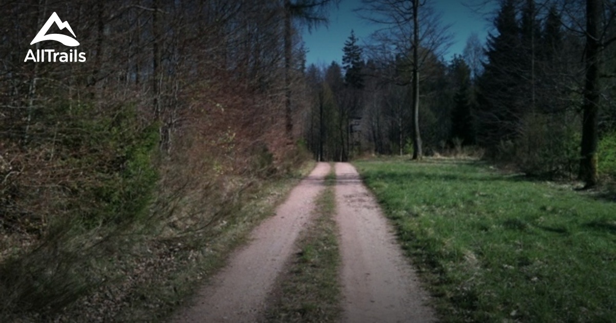 10 Best trail running trails in Mountainbikepark Pfälzerwald | AllTrails