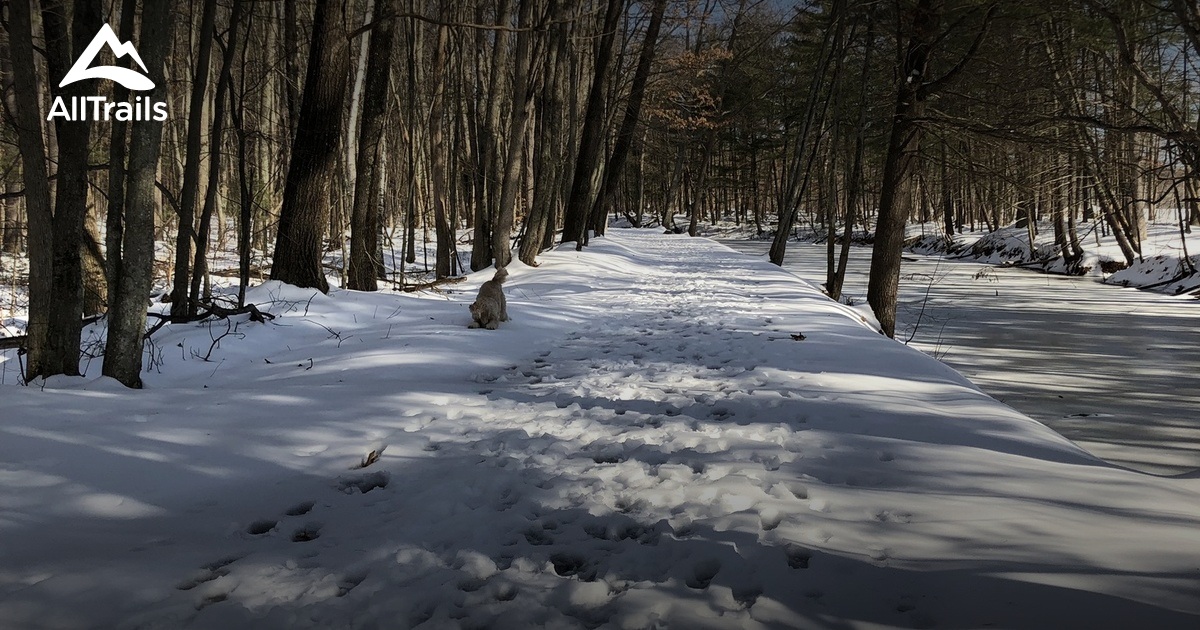 Best fishing trails in Mine Falls - Parks Us New Hampshire Mine Falls Park 2 10171543 20210326081211000000000 1200x630 3 41616777142 