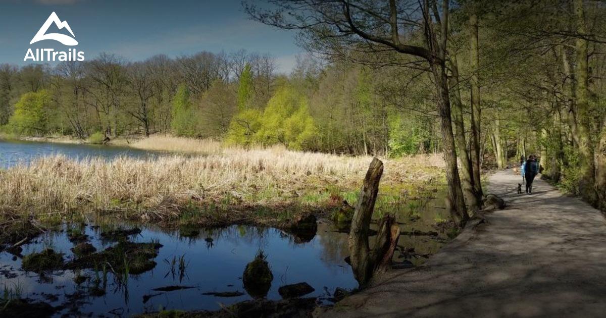 Best Trails in Grunewald - Berlin, Germany | AllTrails