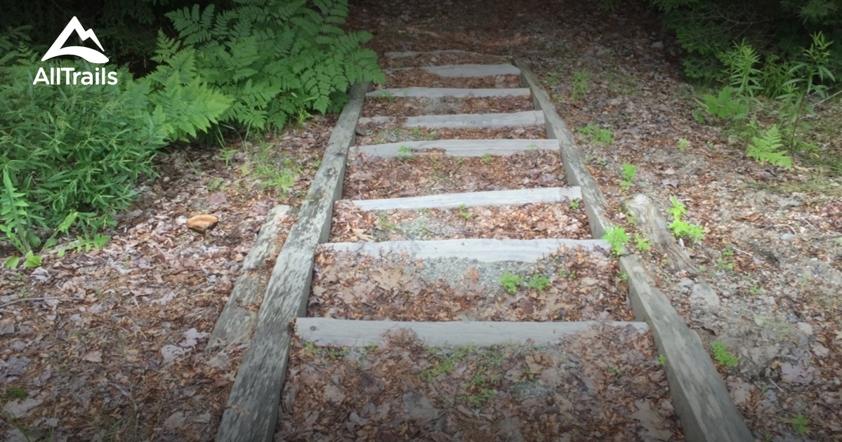 Best hikes and trails in Kittredge Brook Forest AllTrails