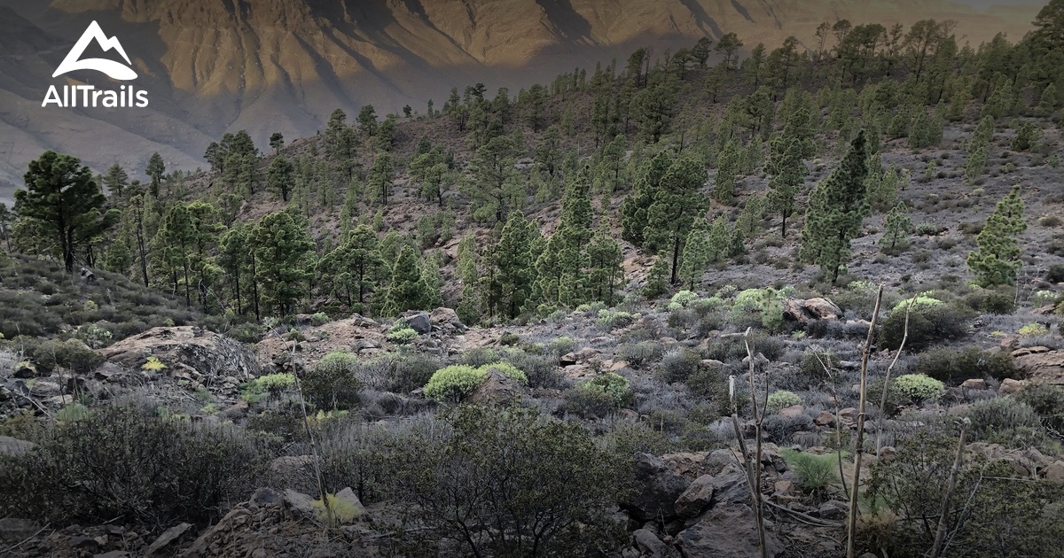 Best Trails in Reserva Natural Integral de Inagua Gran Canaria, Spain