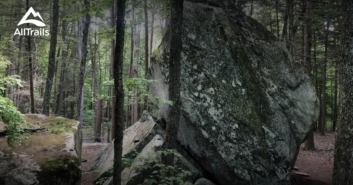 Best hikes and trails in Horse Pound Brook Unit | AllTrails