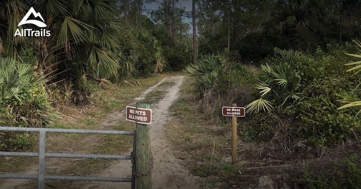 Best trails in Loxahatchee Slough - Parks Us Florida Loxahatchee Slough Nature Area 10171966 20200707080552000000000 1200x630 3 41594124330