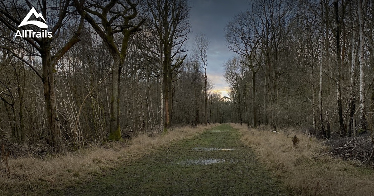 Best mountain biking trails in - Parks England Hertfordshire Hatfield Forest 10172024 20210326081218000000000 1200x630 3 41616798350 