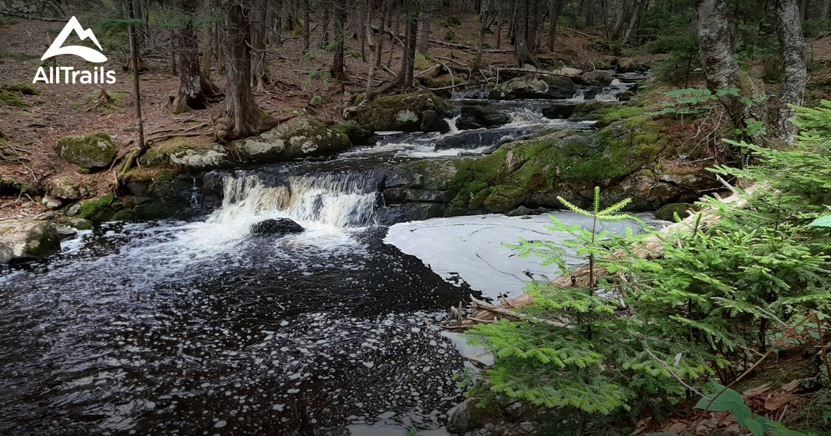 Best Trails in Little River Reservoir Park - New Brunswick, Canada ...