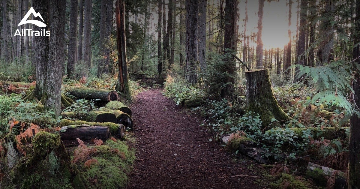 Best trail running trails in McCormick - Parks Us Washington Mccormick Woods Trail System 10172383 1200x630 3 41624479195 