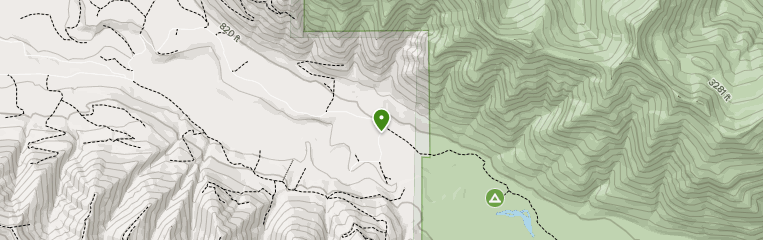 Olympic experimental state forest