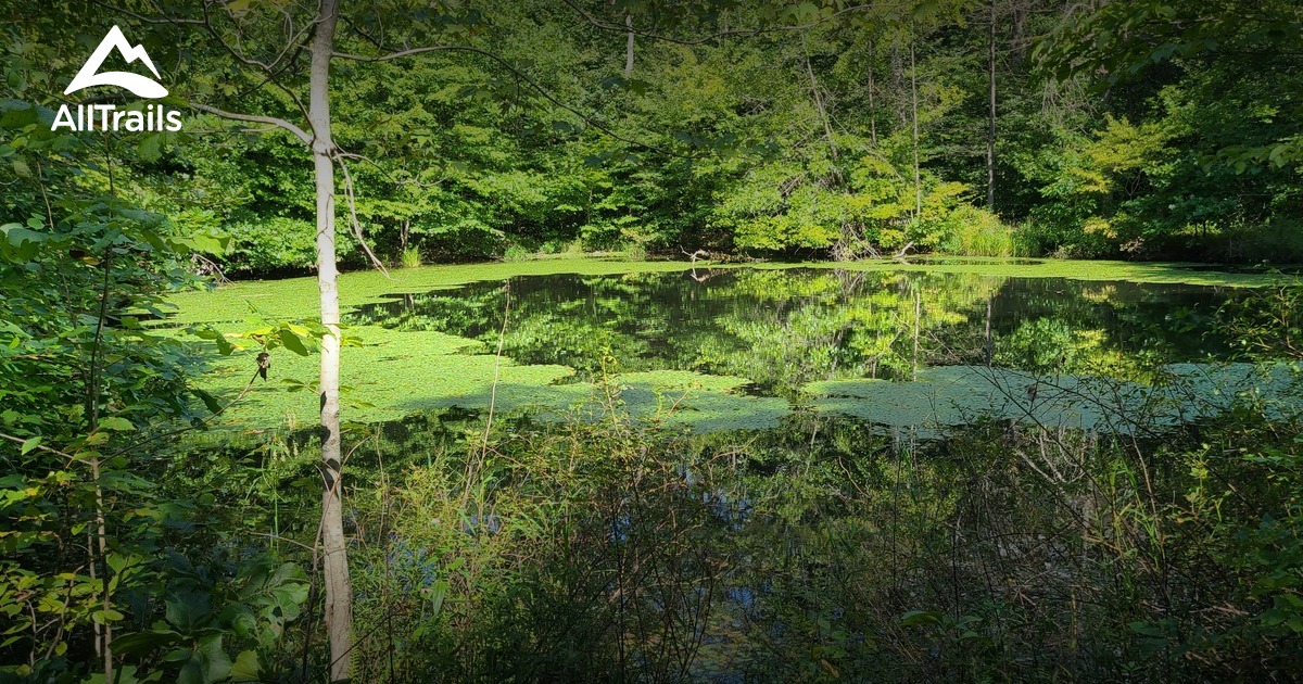 Best hikes and trails in OwenPutnam State Forest AllTrails