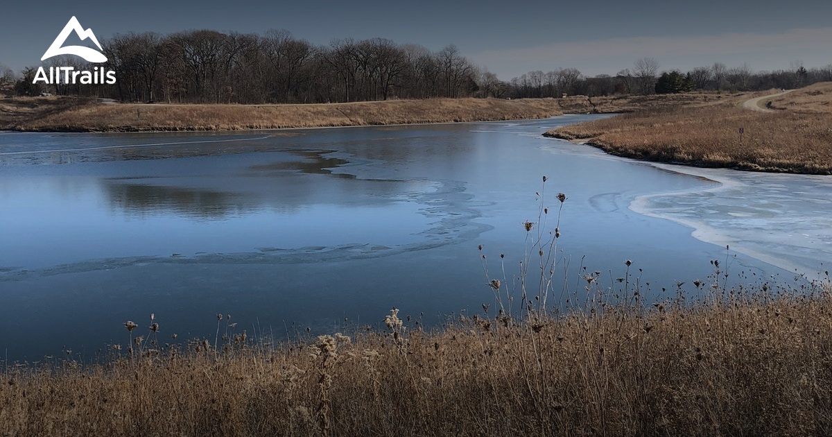 2023 Best Wheelchair Friendly Trails in Meacham Grove Forest Preserve