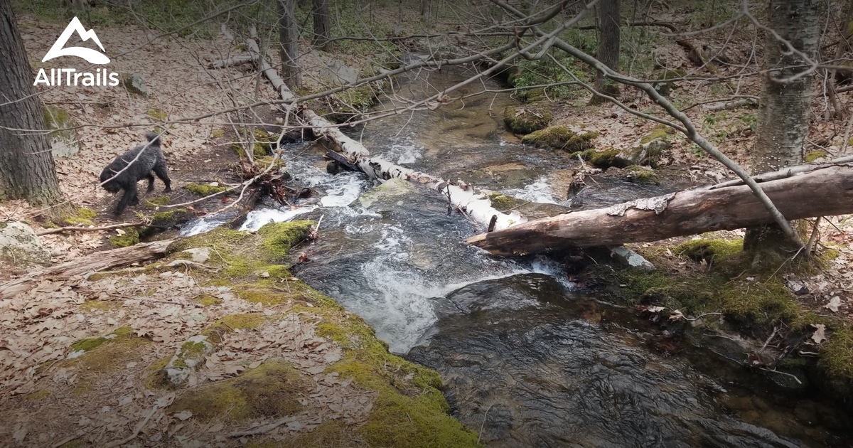 Best Hikes and Trails in Crocker Conservation Area | AllTrails