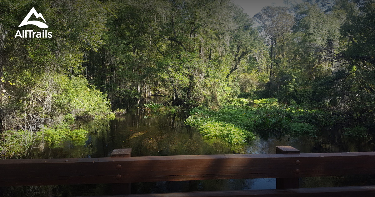 Best trails in Lake Panasoffkee, Florida AllTrails