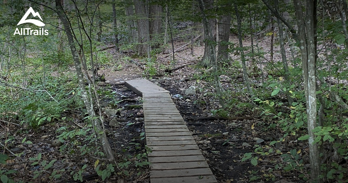 Best hikes and trails in Kittery Town Forest | AllTrails