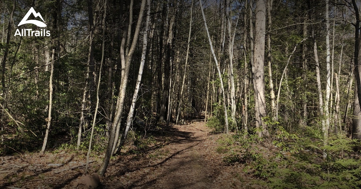 Best Hikes and Trails in Farmington Memorial Forest | AllTrails