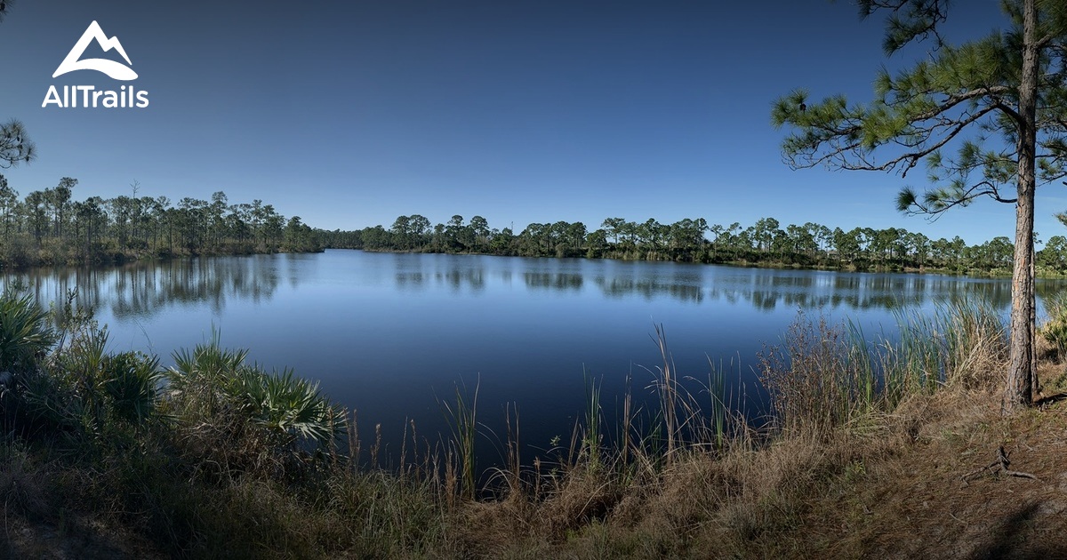 Best Trails in Cypress Creek Natural Area - Florida | AllTrails