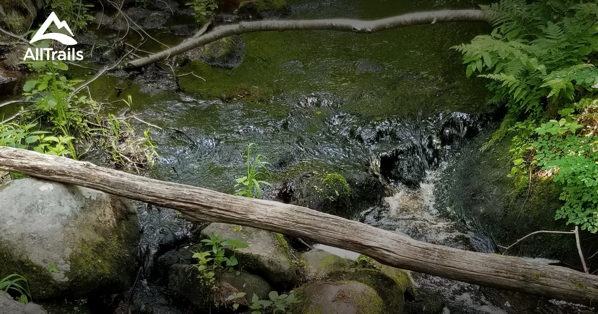 Best hikes and trails in Cormier Woods AllTrails