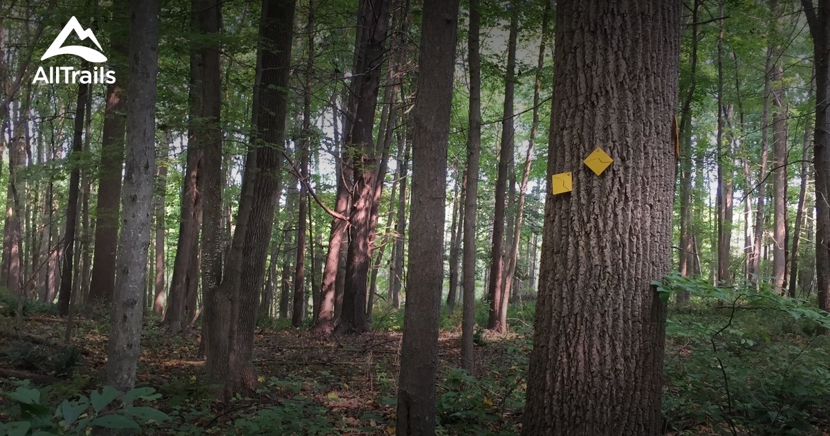 Best hikes and trails in Limestone Ridge Preserve AllTrails