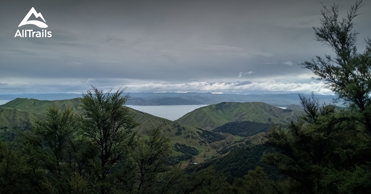 Best hikes and trails in Mahia Peninsula Scenic Reserve | AllTrails