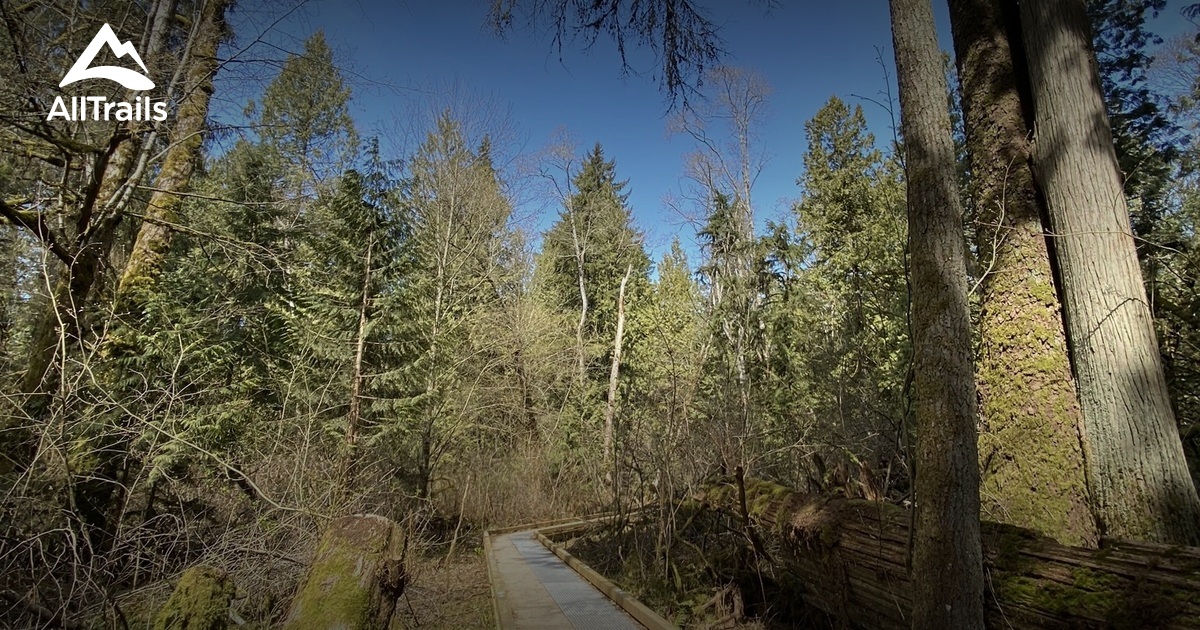 Best Hikes and Trails in Colebrook Park AllTrails