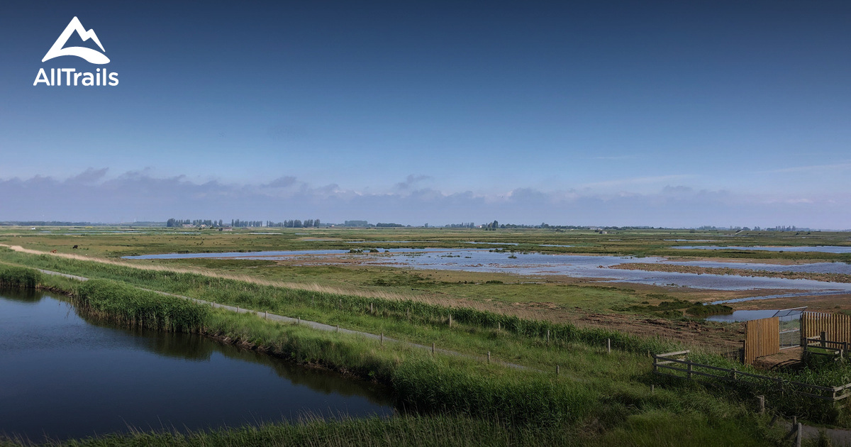 Best hikes and trails in Frampton Marsh Nature Reserve | AllTrails